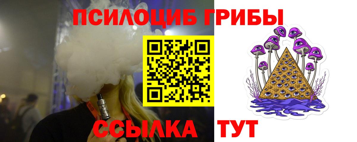 Киров  Галлюциногенные грибы мицелий  Псилоцибиновые грибы прущие грибы  Вход с VPN 